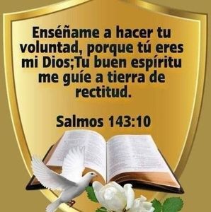 Meet your Posher, Lucy